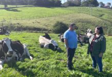 Entrevista a Diego Martínez de Ganadería El Cartero de La Bouga (Salas)