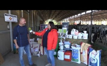 Entrevista a Javier Álvarez Rodríguez, gerente de Nutrigan