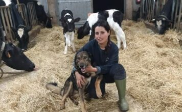 Elena Soberón, ganadora del Premio Joven Agricultor Europeo “Proyecto más resiliente”