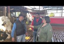 Entrevista a Fernando y Santiago Higuera Diego de SAT Ganadería Finca La Tejera (Cantabria)