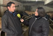 Entrevista a Adrián Antón de Ganadería Casa Calea S.C. de La Cebedal (Tineo)