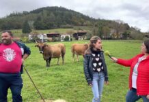 Entrevista a José Manuel Iglesias, ganadero de Berducedo (Salas) y Azahara