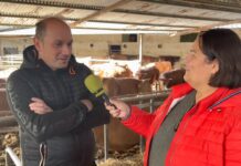 Entrevista a Rubén González Valdés de SAT Aruse de Tamargo (Las Regueras)