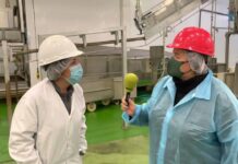 Entrevista a Noelia Gómez, gerente del Matadero de Gijón