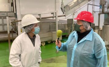 Entrevista a Noelia Gómez, gerente del Matadero de Gijón