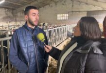 Entrevista a Sergio Feito Santiago, ganadero de Cornás (Tineo)