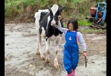 MIRANDO AL FUTURO. Especial Navidad, ganaderos de cuna