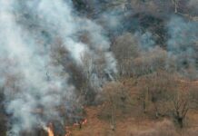 UPA pide un Pacto de Estado contra los incendios que cuente con la población rural