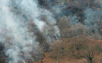 ASAJA Asturias rechaza que se culpe a los ganaderos de los incendios forestales