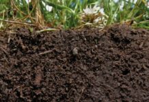 El Gobierno aprueba un Real Decreto para reducir la contaminación por nitratos y reforzar la protección de las masas de agua más vulnerables