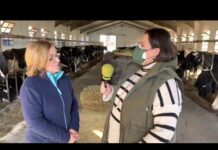 Entrevista a Conchita de la Torre de la ganadería de Casa Felipón en El Pedregal (Tineo)