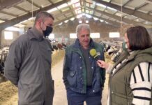 Entrevista a José Ángel y Manuel Ángel García, Ganadería Casa Eladio de La Miyariega (Tineo)