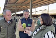 Entrevista a José Ramón y Paulino Badiola, propietarios de Ganadería Diplomada Badiola S.L.