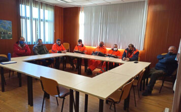 El Principado elimina más de 1,2 millones de plantas del plumero de la Pampa en 15 concejos