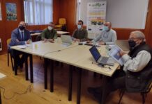 La presencia de la avispa asiática desciende en Asturias respecto a 2020