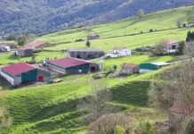 El 14 de febrero finaliza el plazo de inscripción en la Escuela de Jueces Ganaderos que se celebrará en Cantabria