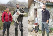 La reciella se rebela contra la protección del lobo