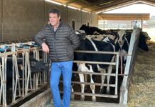 SAT Los Laureles: «Al que le gustan las vacas busca genética y mejora»