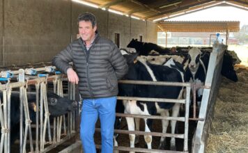 SAT Los Laureles: «Al que le gustan las vacas busca genética y mejora»
