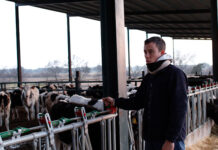 España, a la cola de Europa en precios de la leche en origen