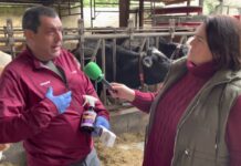 Entrevista a Jordi Tost, director técnico de GAV-ALLFEED