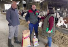 Manuel y Pedro Rodríguez de Ganadería Gomezán S.C. en Puente Nuevo (Llanes)