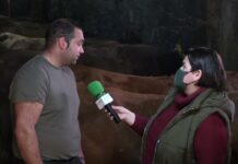 Entrevista a Fernando Caso, ganadero de Suarías (Peñamellera Baja)