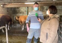 Manuel Fernández Espina, ganadero y carnicero (Razastur) de Lena