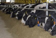 Las cooperativas agrarias de la Cornisa Cantábrica urgen garantizar el transporte en el sistema agroalimentario