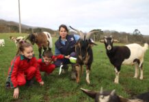 Los ganaderos de reciella critican la excesiva burocracia y el descontrol de la fauna salvaje