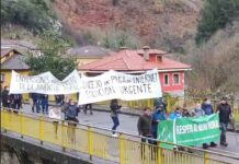 El Ayuntamiento de Ponga presenta demanda contra la inclusión del lobo en el LESPRE