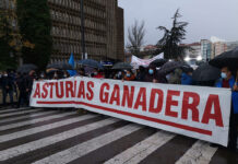 Asturias Ganadera no considera medida de apoyo el adelanto de la PAC 2022