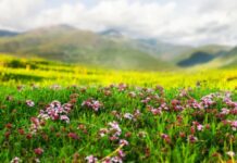 Aprobada la Ley de Calidad Ambiental