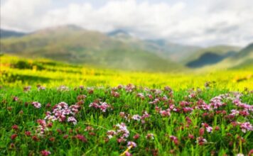 Aprobada la Ley de Calidad Ambiental