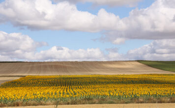 UPA pide a Europa ajustes en la política agraria para garantizar la producción de alimentos