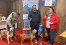 Entrevista a Juan Rodríguez, fabricante de pienso de perros con desparasitante