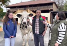 Entrevista a Faustino Rodríguez de Ganadería Casa Viña de Albandi