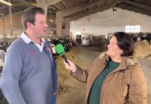 Entrevista a Rubén Alonso Losas de Ganadería Llarriba de Viodo (Gozón)