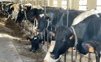 Publicado el listado de los 20.081 productores de leche beneficiarios de las ayudas por la guerra en Ucrania