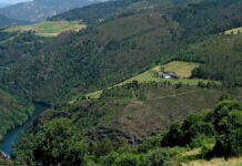 El plan de caza de las reservas regionales incluye medidas extraordinarias para la vigilancia sanitaria de la fauna silvestre