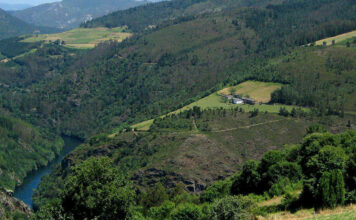 El plan de caza de las reservas regionales incluye medidas extraordinarias para la vigilancia sanitaria de la fauna silvestre