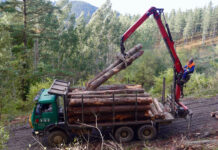 Propietarios forestales y empresas de selvicultura, paralizados por la demora de las ayudas