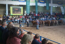 El Nacional de Asturiana de los Valles recupera su fecha de celebración habitual