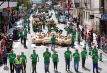El desfile de Carros y Animales dará el pistoletazo de salida a la Feria de San Isidro
