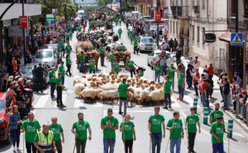 El desfile de Carros y Animales dará el pistoletazo de salida a la Feria de San Isidro