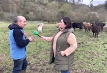 Entrevista a Vicente M. Espina, director del Parque Natural Las Ubiñas-La Mesa y ganadero