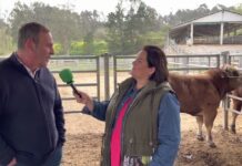 Entrevista a Gerardo Noval, responsable del Centro de Testaje de ASEAVA