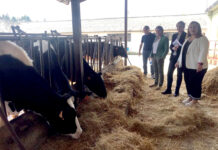 El nuevo ciclo formativo de Paisajismo y Medio Rural se impartirá en el IES Luces