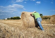 El Principado apoya el relevo generacional con más de 17 millones