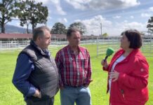 Entrevista a los hermanos Prado, ganaderos de Llanera sobre San Isidro